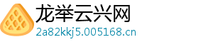 龙举云兴网